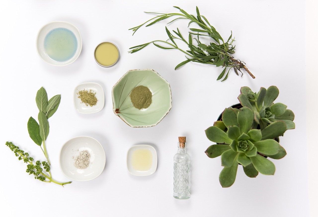 Botanical skincare flat lay with fresh herbs and creams
