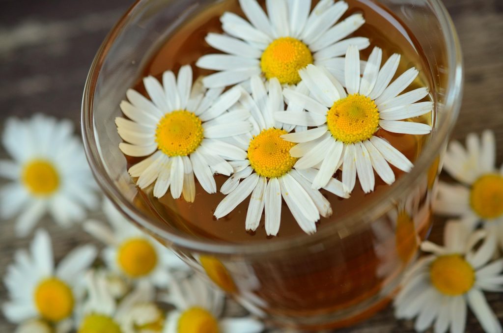 Cup of chamomile tea with fresh chamomile flowers